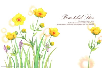 手繪唯美插畫之花卉藝術