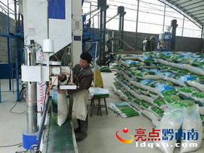 晴隆總投資800萬元琳隆薏仁米加工廠建成投產，優化投資管理助力鄉村振興